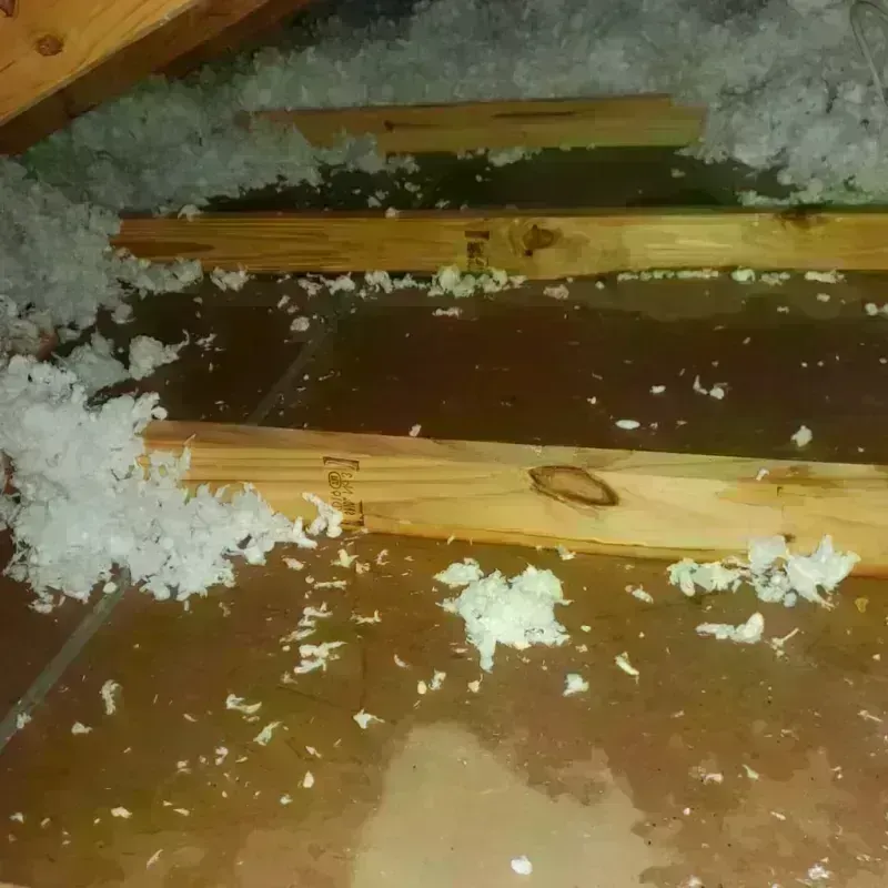 Attic Water Damage in Herald, CA