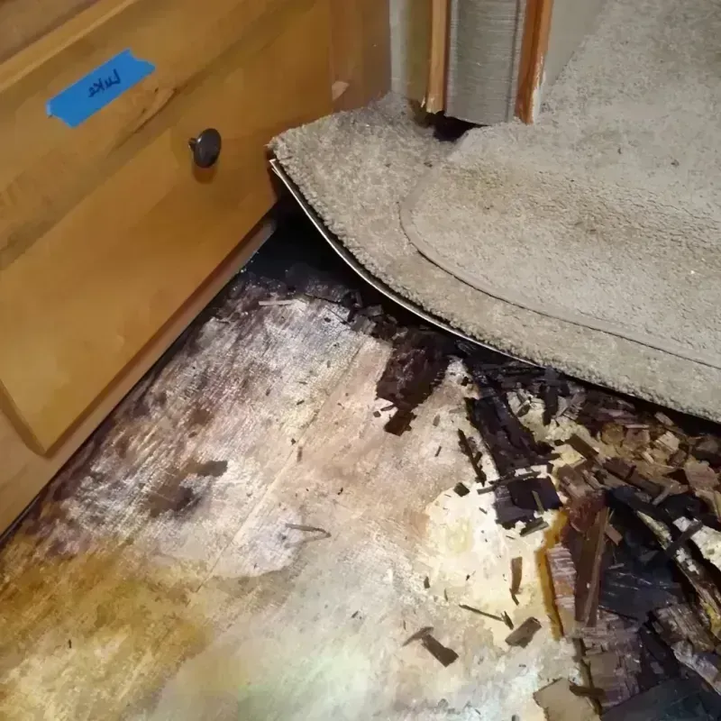 Wood Floor Water Damage in Herald, CA